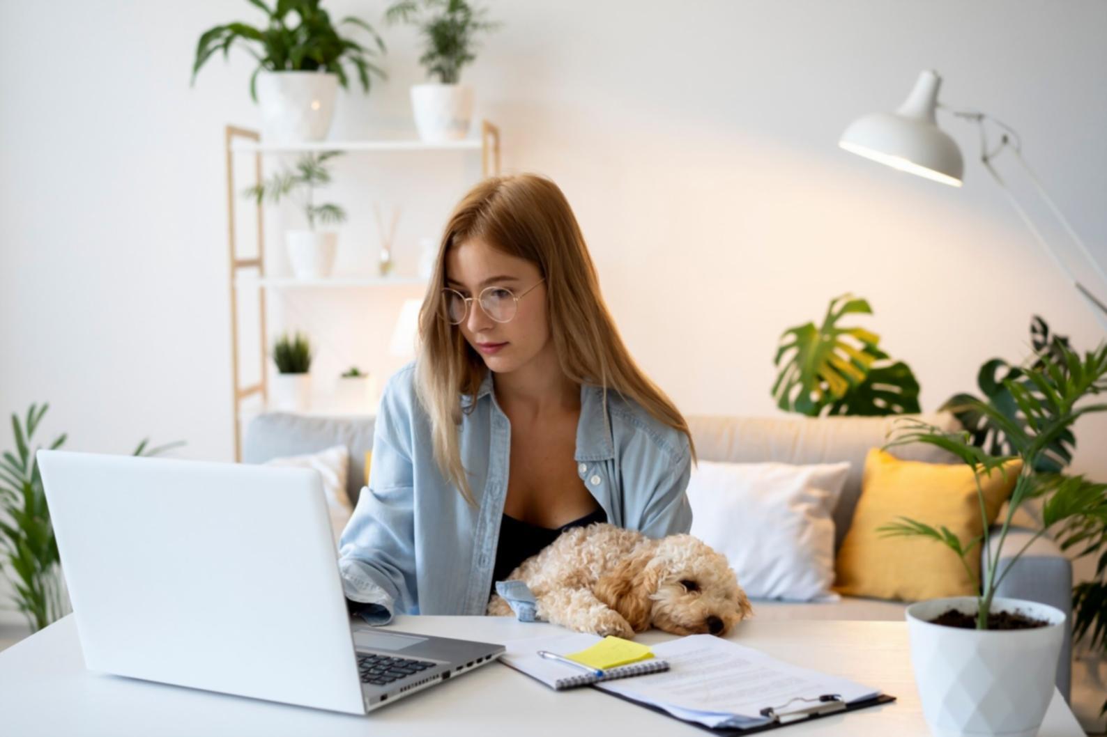Organized financial records and expense tracking system